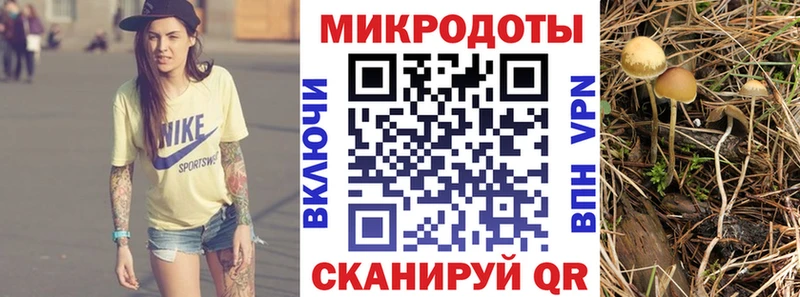 где купить наркоту  Воскресенск  Псилоцибиновые грибы мицелий 
